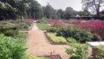 Sommerblumengarten im Treptower Park